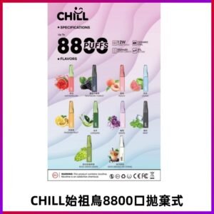 CHILL始祖鳥電子煙鴨嘴獸拋棄式8800口 一次性8ml大容量煙油