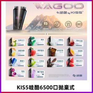 Kis5電子煙 Kiss拋棄式哇酷|WAGOO6500口一次性電子煙